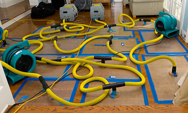 Professional Crawl Space Water Removal technician working in Stevenson, AL